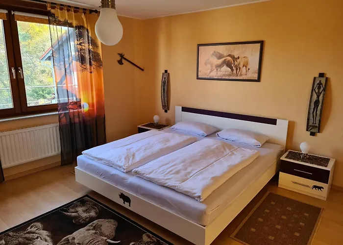 Ederseeglueck - 1 Apartment Bringhausen